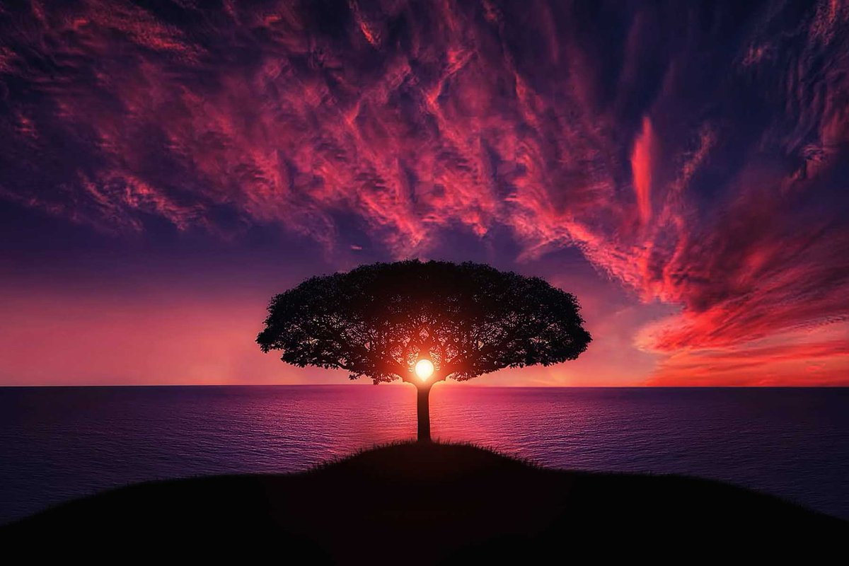 RuffBeatzEnt's tweet photo. After taking a year off, Solarstone is now back with the ninth edition of his critically-acclaimed Pure #Trance compilation series!

Stream the album with the link below!

https://t.co/rrdWzyQeDc #EDM https://t.co/uYHc8VwyDx