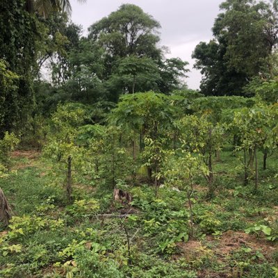 LRodmayu's tweet image. #NewProfilePic