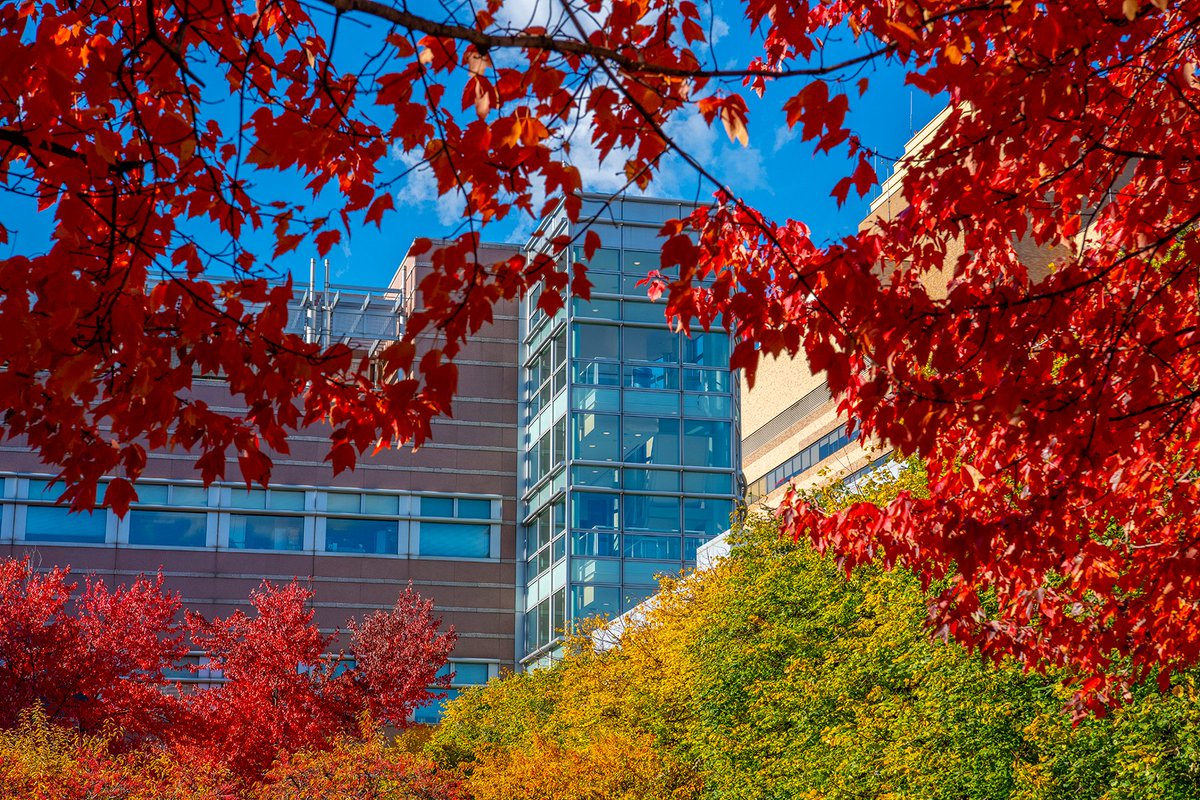 🍂 The trees have kept their leaves a little longer this year. And we're so thankful. 🍁

Heading into the biggest week of fall, take a moment to appreciate the beauty that surrounds you, wherever you may be.