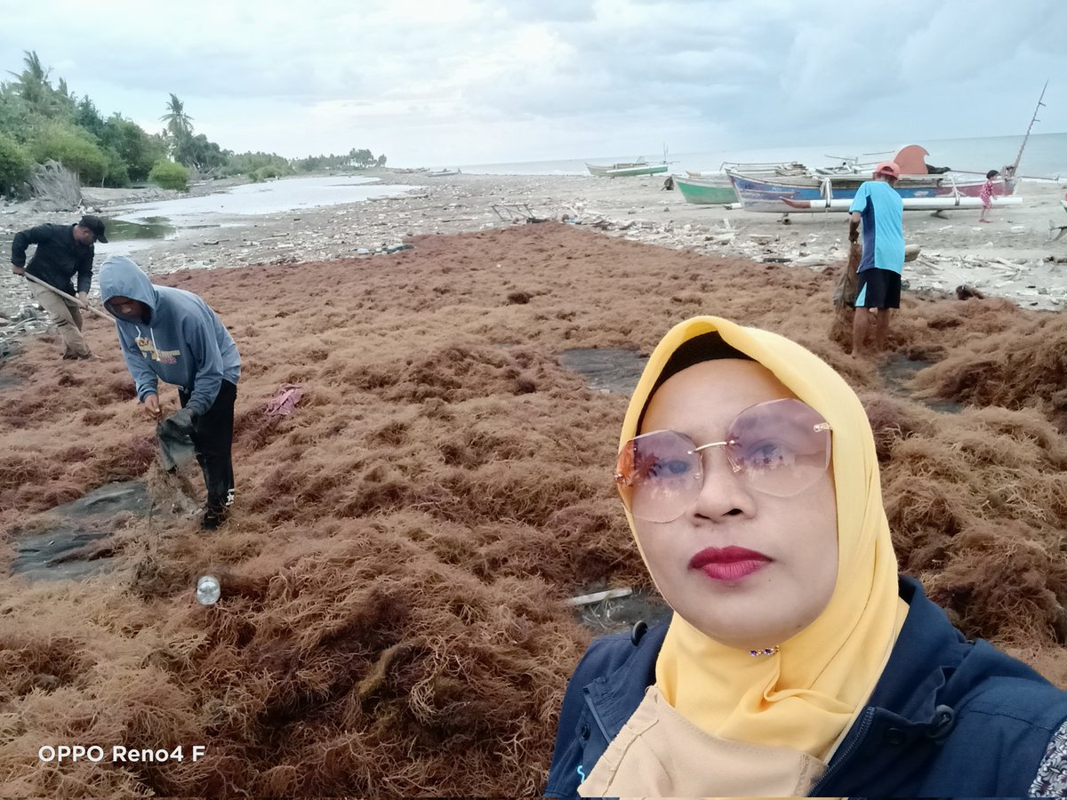 AchmadIrmawati's tweet photo. Kamis 18/11/2021, Irmawati Achmad, https://t.co/QbRETuefMU.Pi, Luhkan Jeneponto, Kunjungan kelompok Binaan lagi panen Rumput Laut Spinosium 3000 Kg Pokdakan Tunikamaseang dan Pembibitan Pokdakan Cahaya budi,Desa Bulo2 Kec Arungkeke
#Guat Luhkan Satminkal Maros
#Jeneponto https://t.co/ztW84xKU7Z