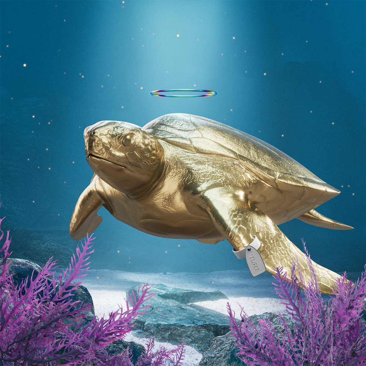 cryptogranpa_jp's tweet photo. Golden turtle🐢

@SolAquariums https://t.co/cbUnQxA5OJ
