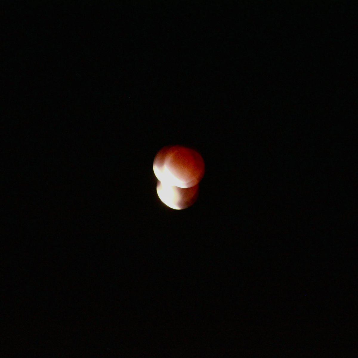 ainsleyachs's tweet photo. thought i’d share these <3 #TaurusMoon https://t.co/v48WD1uvn8
