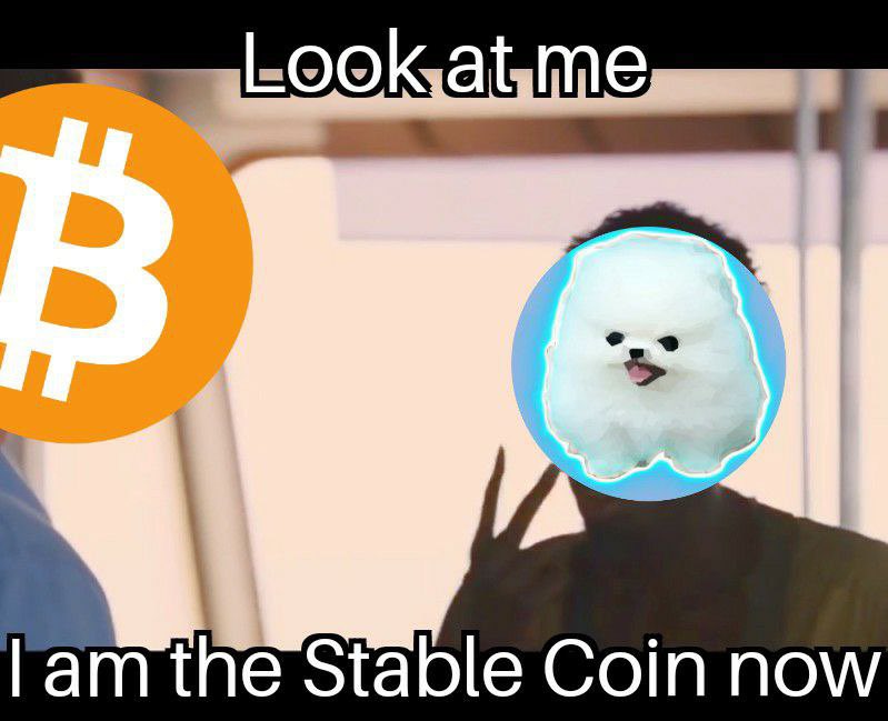 #Btc has gone down #MiniKishu has gone up🤷‍♂️ <a href="/1goonrich/">Quasar.Exe</a> <a href="/OfficialTravlad/">Travladd Crypto 𐤊</a> <a href="/crypto_inked/">Inked Up Crypto</a> @CometCalls meme by community member <a href="/theSlowBroke/">SlowBroke</a> #altcoins #GameFi #NFTs #CryptocurrencyNews #Binance #BinanceSmartChain #PlayToEarn #P2E #blockchain #BlockchainGaming #BSC #altcoin #Bitcoin