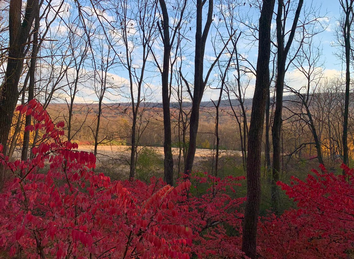 costamark2's tweet photo. It's still #Autumn in case you haven't noticed. @DelWaterGapNPS @NJGov @nature_NJ @GetOutsideNJ @NewJerseyDEP #NJStateParks #hiking #FallforNJ https://t.co/HmjQ4V6VOo