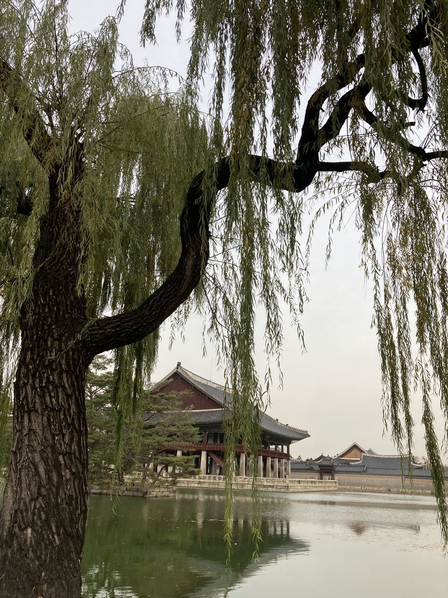 helena_rho's tweet photo. Sitting in the royal gardens. Still in Gyeongokgung. #americanseoul https://t.co/gb0LvZIFiC