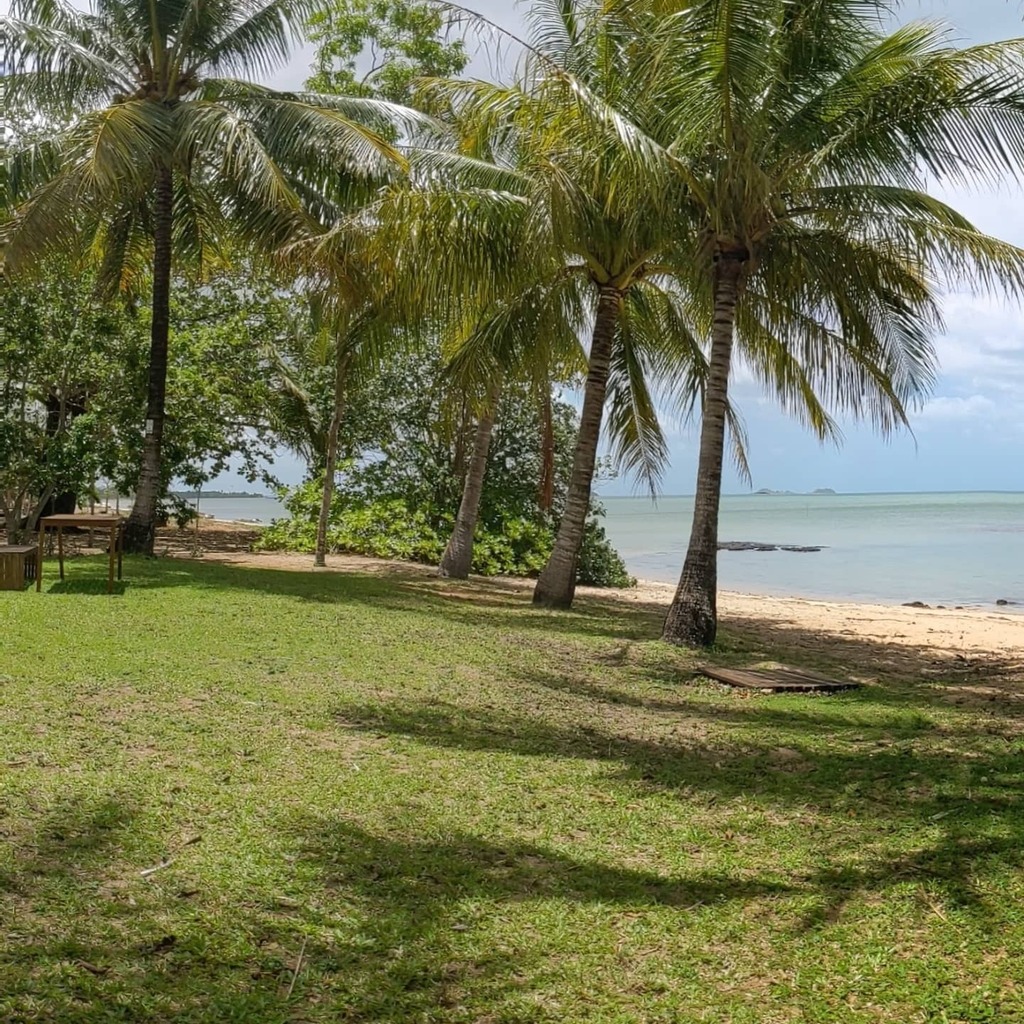 MrSrMike's tweet photo. Back on the mainland, spending 2 weeks in the "Bahamagas"... So far Bamaga's living up to the nickname!
Kate's doing her masters on the outdoor table next to me- I can think of worse places to study

📍Anggamuthi/Atambaya/Wuthathi/Yadaigana/Gudang lan… https://t.co/cmT9wweVDw https://t.co/7hgok0BPUt