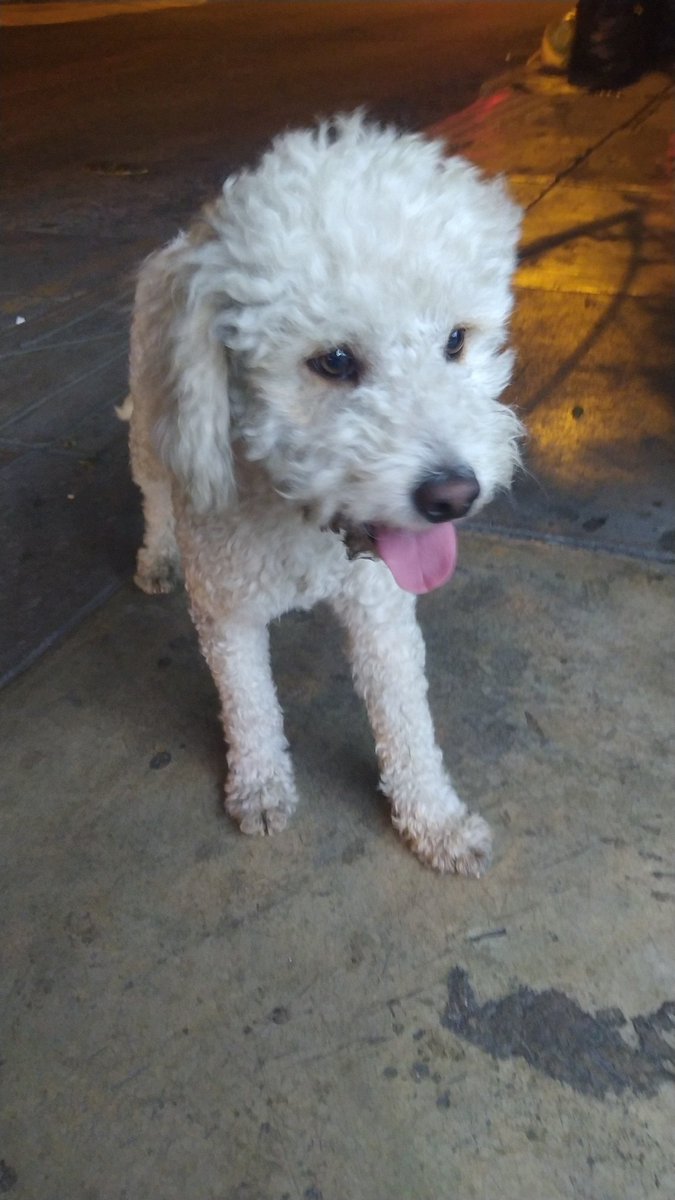 José Núñez tweet media