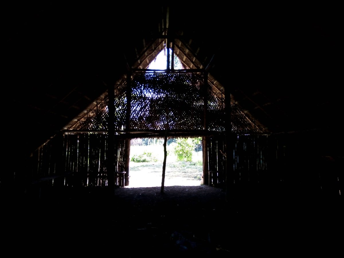 MalocaJoven's tweet photo. Maloca, espacio de compartir ancestral, Comunidad indígena, Panure, etnia Tucano Oriental, Guaviare,Colombia
#saberesancestrales #maloca #Panure #Guaviare #comunidadesindigenas https://t.co/fAQ67WclFP