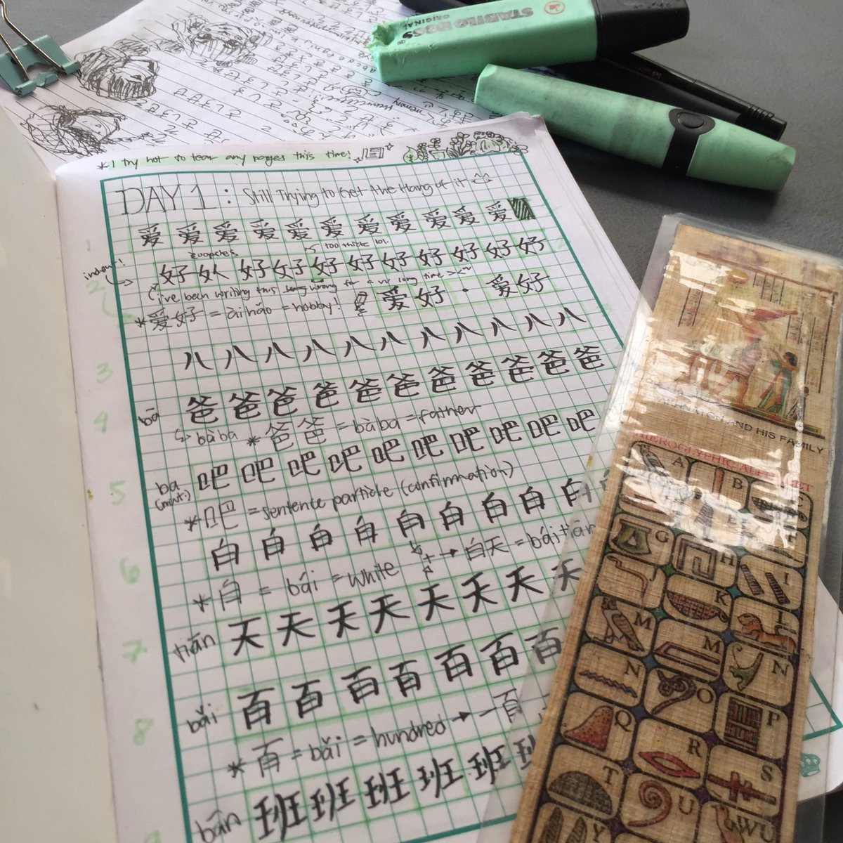 catpalpatine's tweet image. i have a vv bad habit of taking week long “breaks” from studying cn and struggling to get back in “the flow” but nowadays im determined to make daily progress and actually stick w what i have :]