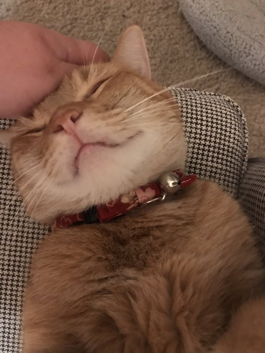 kenny criminal goblin🧡 tweet media