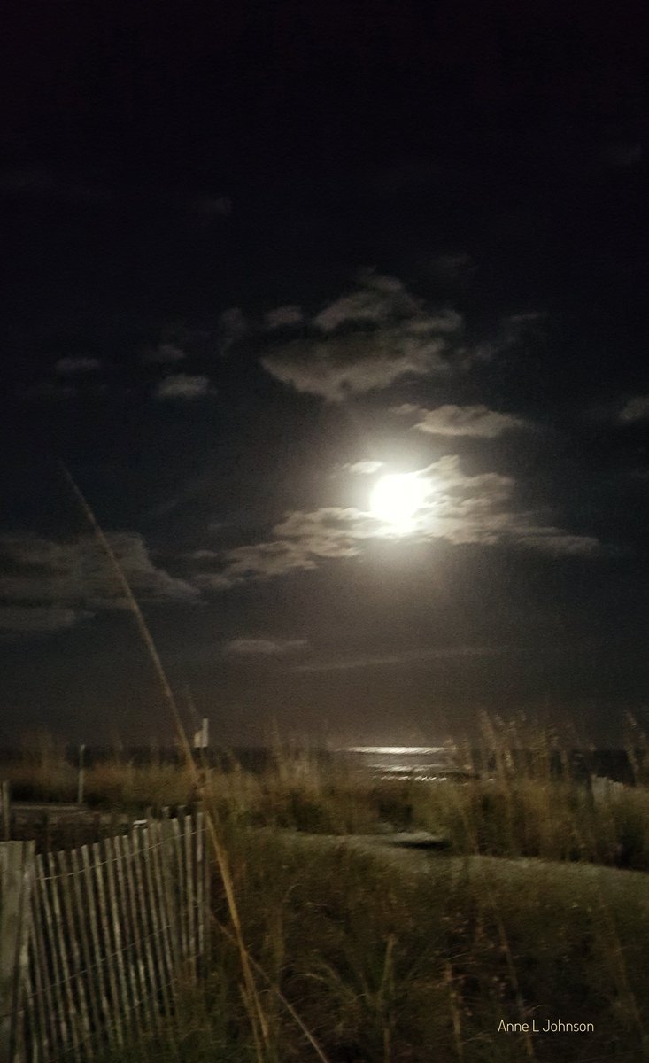 MyrtleManorAnne's tweet photo. What a beautiful moon! #waxinggibbous #saltlife #thegrandstrand #Novemberatthebeach https://t.co/phJioFBar6