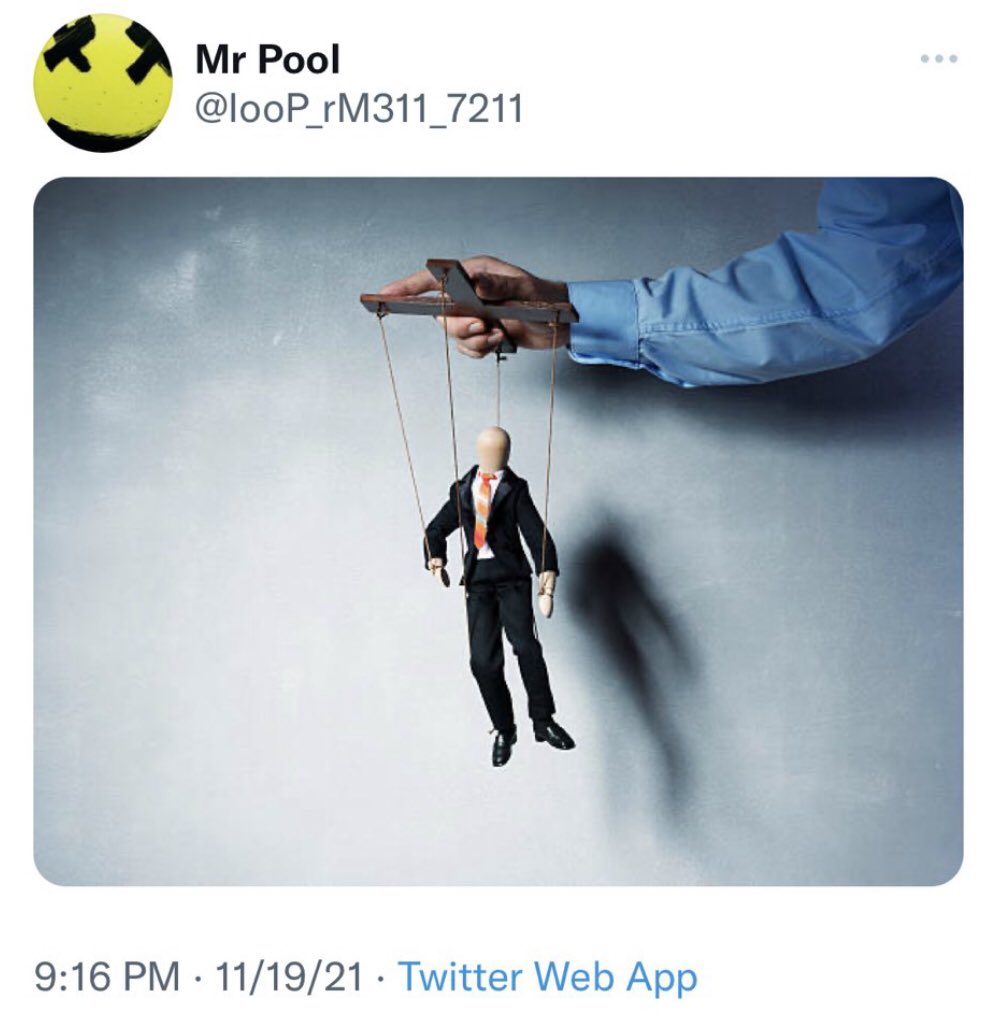 FoJAk3's tweet image. Mr Pool  11/19/21  9:16 PM est