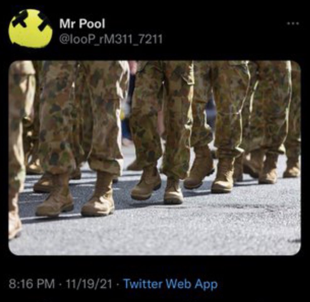 FoJAk3's tweet image. Mr Pool  11/19/21  9:16 PM est