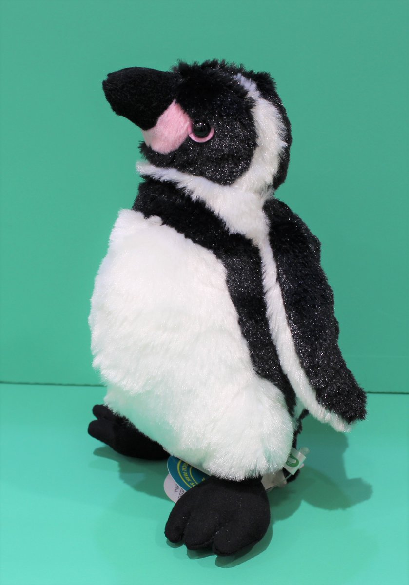 フリッカ ぬいぐるみ ペンギン
