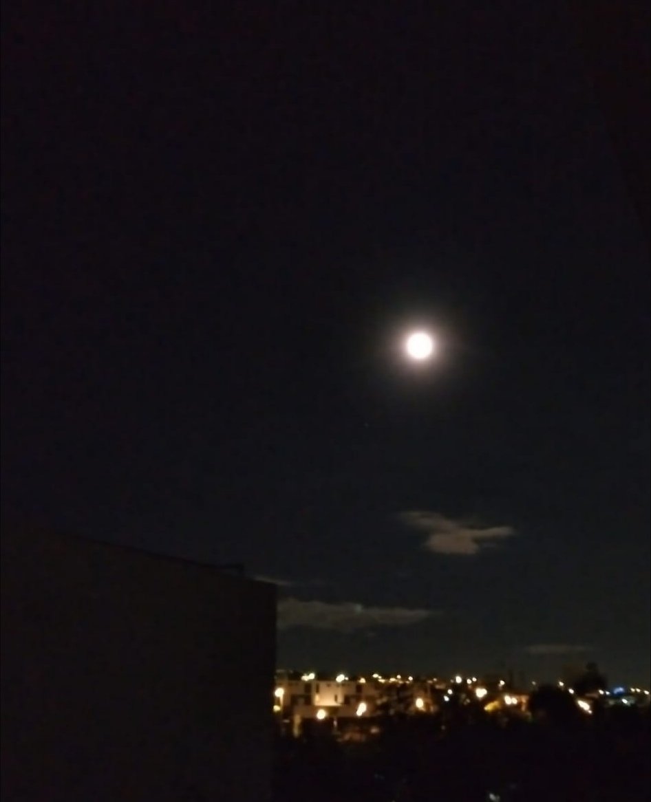 LasVivanco's tweet photo. -Teresa tu mezcal y una cobija 
-Gracias Hortensia, ven siéntate, salud.
-A la salud de la luna 😍
-A la salud 🙂 https://t.co/XcdOq56NSk