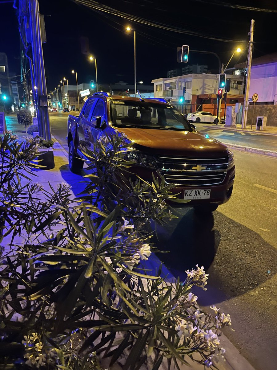 pajaritus's tweet photo. Rica tú estacionada #Antofagasta #AvenidaAngamos https://t.co/6M4SoifKMv