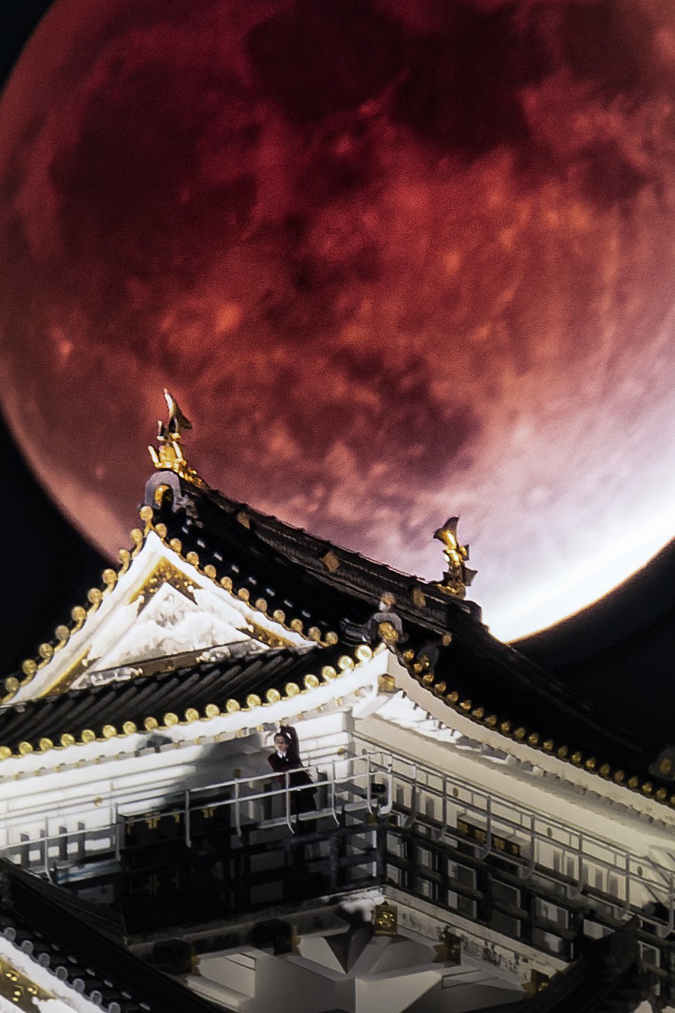 Hiroaki Sekioka 関岡 大晃 月食撮ったら変な人まで写ってた件 岐阜城 部分月食 皆既月食 T Co Szl7unizcx Twitter