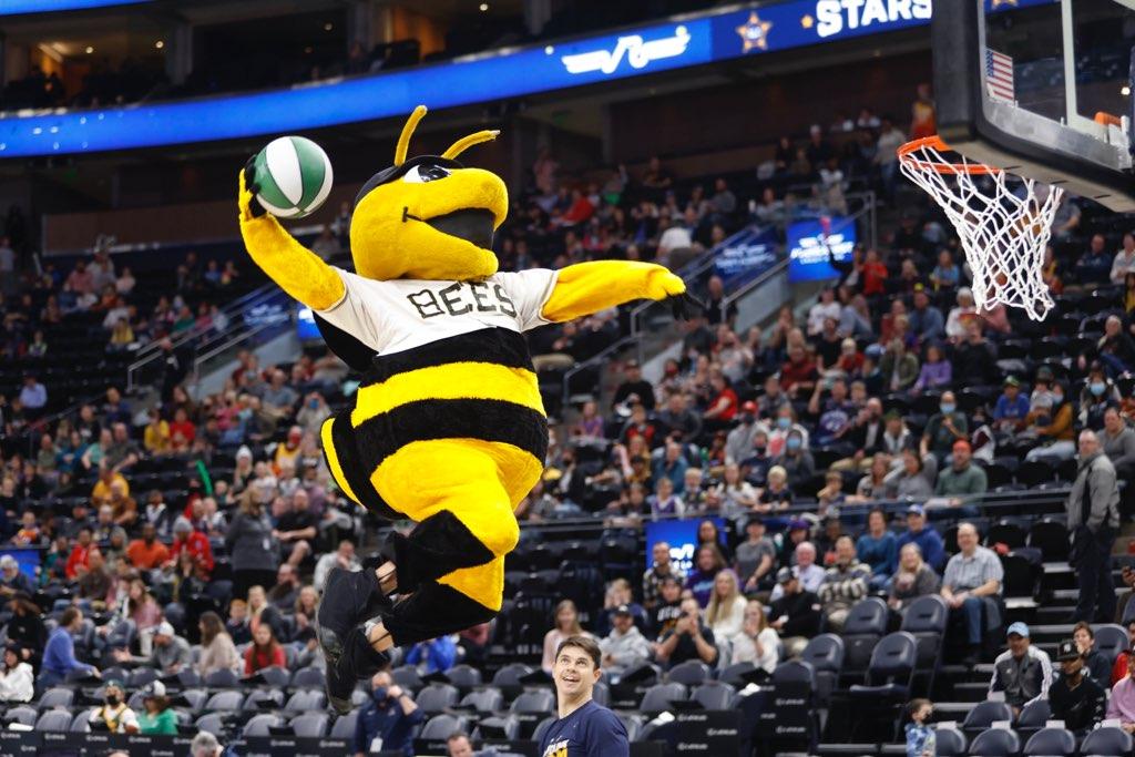 Salt Lake Bees tweet media