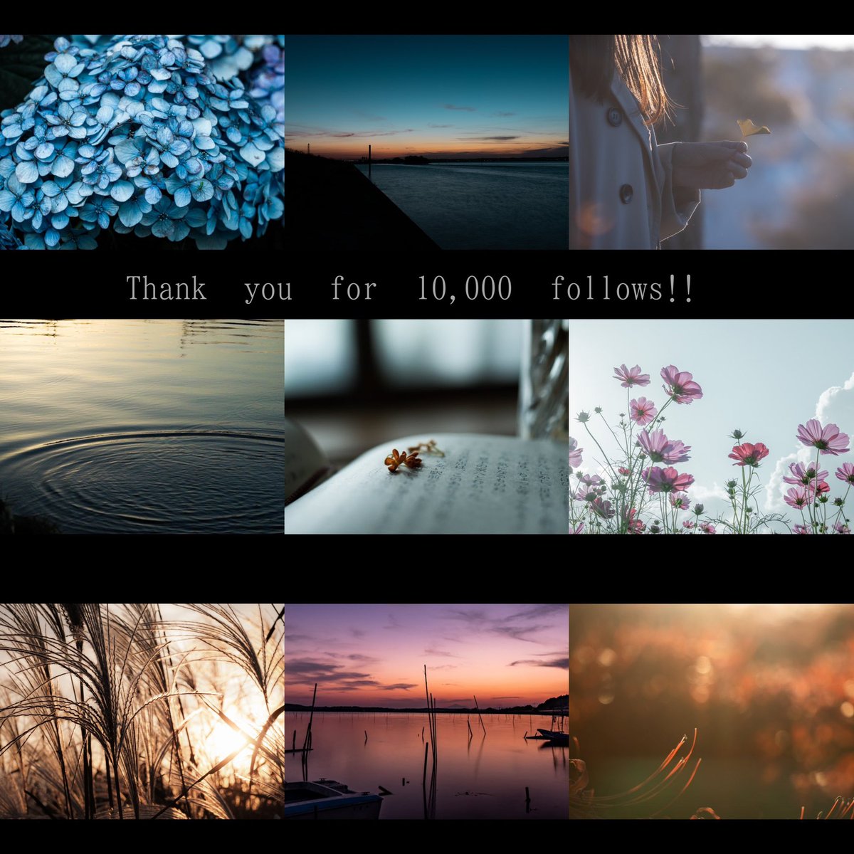 yamasphoto2's tweet photo. ワタクシ事で大変恐縮ですが、フォロワー様が1万人となりました...!!
いつも見ていただき、大変感謝です🥲
写真と創作、自分の好きを表現した上で皆様に見てご反応いただけることが何より嬉しいです。
これからもよろしくお願いします！！ https://t.co/yZLXa4FLJm