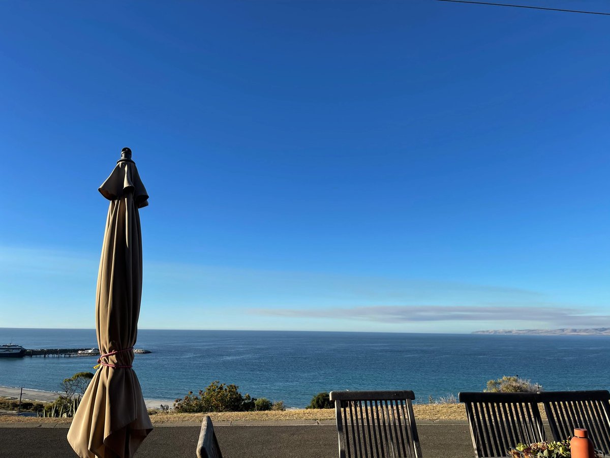 Ashley Ross tweet media