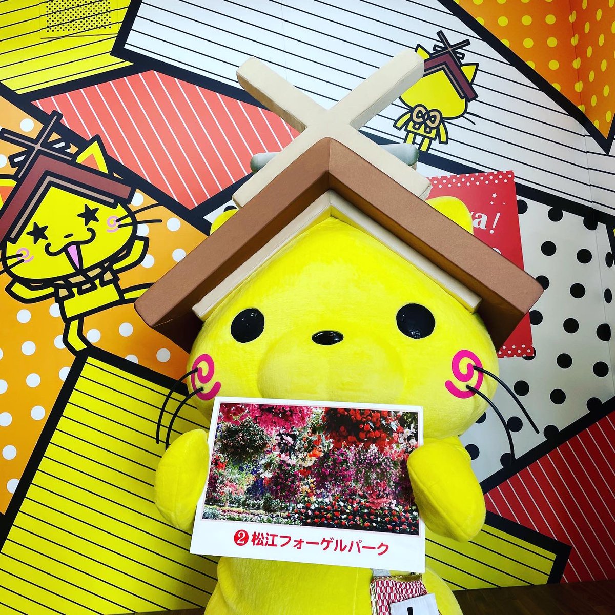 しまねっこ 公式 Shimanekko Twitter