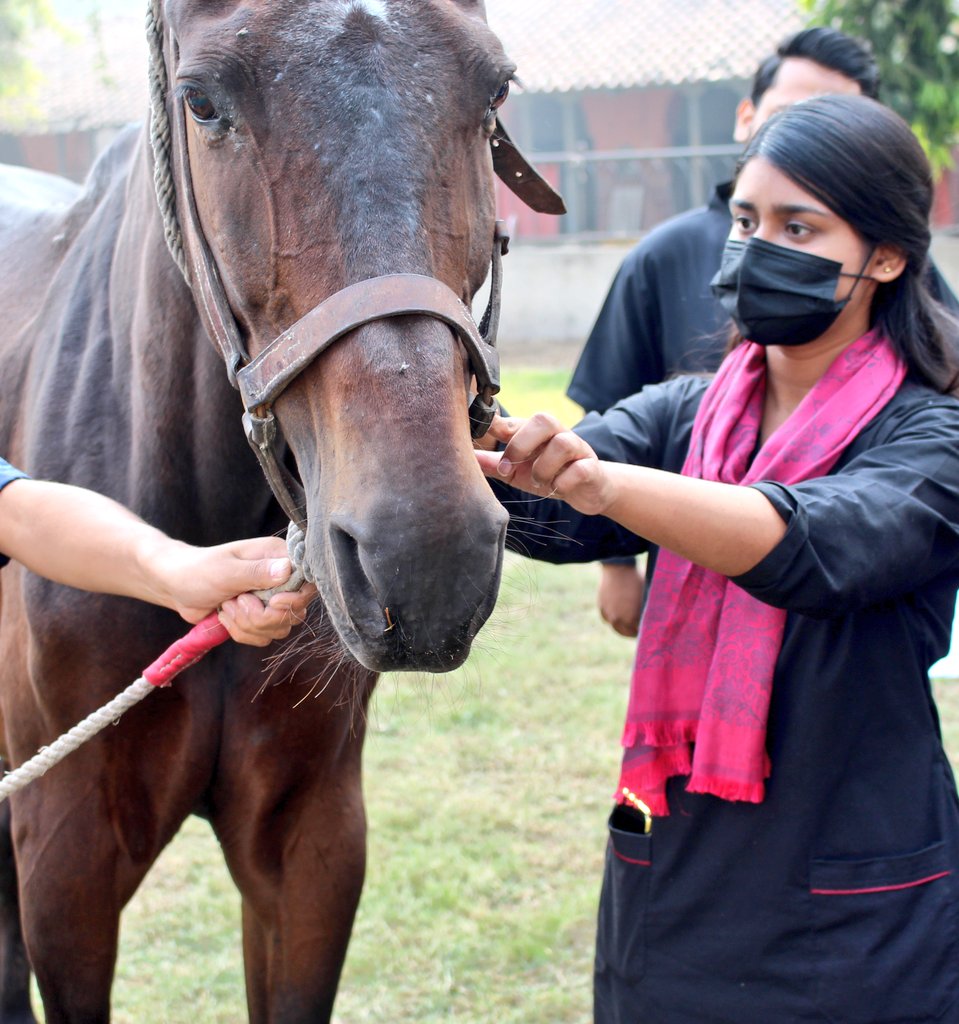 We palpate your pain and feel your emotions❤️
Allah bless us with the Life to love them even more🧡
#vetslife 
#animallovers