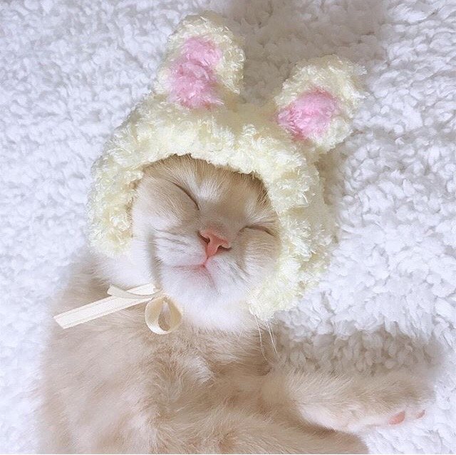 баю-бай, бай-бай, читательницы мои любимые и читатели, засыпай 🌘
кроватка скучала без вас, чшшшш... мур-мур, спокойных снов¡!