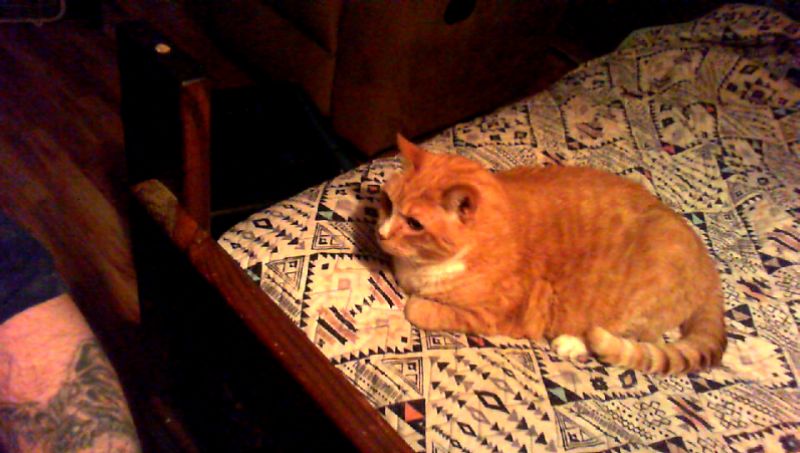 GarbageGamerx tweet media