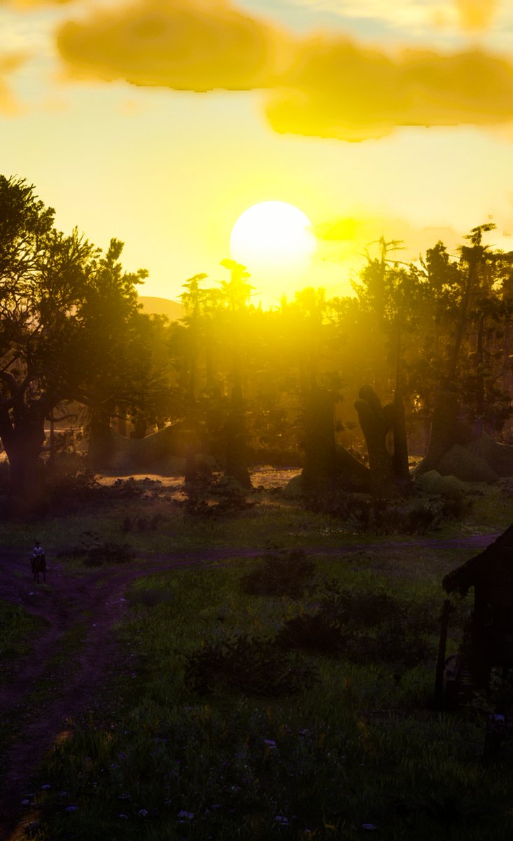 VolaticWolf's tweet photo. #RedDeadRedemption2 #VirtualPhotography https://t.co/i0uvXEEtWs