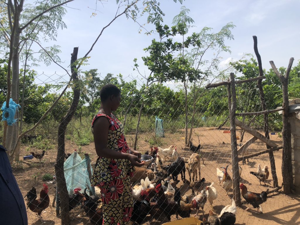 Edah Clement tweet media