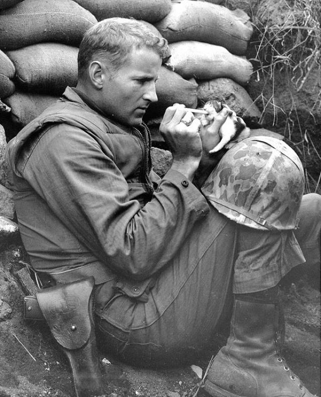 LaocoonofTroy's tweet photo. US Marine Sgt, Frank Praytor, feeding his adopted kitten, Miss Hap, some canned milk during the Korean War. Praytor received marriage proposals from women all over the US after this photo appeared in 1,700 newspapers. https://t.co/F0S2yoAaus