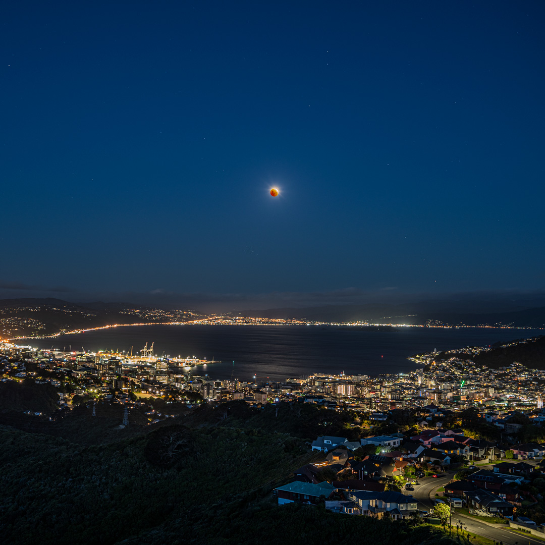 ShinichiMrym's tweet photo. Eclipse and Wellington https://t.co/UCavr1IdHB