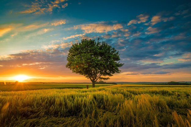 perfectt_clickk's tweet photo. Note to self: “Please relax.”

#photo #photography https://t.co/iLpGkwuFIp