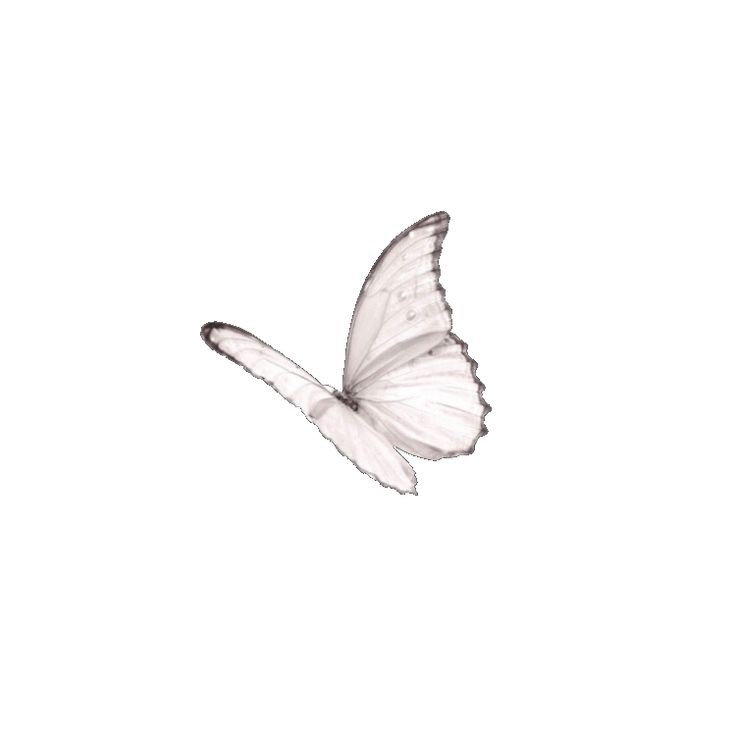 _oonlak's tweet photo. ⋆ 𓂃𓏸 𝐴𝑏𝑜𝑢𝑡 𝑚𝑒 𝑃𝑟𝑖𝑛𝑐𝑒𝑠𝑠  ꒱ *◞ https://t.co/Gud3r8ytTm