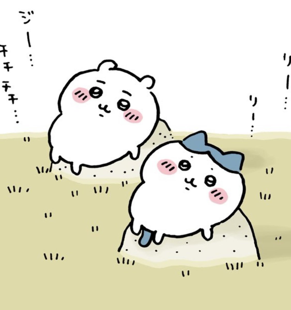 asamo_0809's tweet photo. @ngnchiikawa https://t.co/Vecw8Icz2j