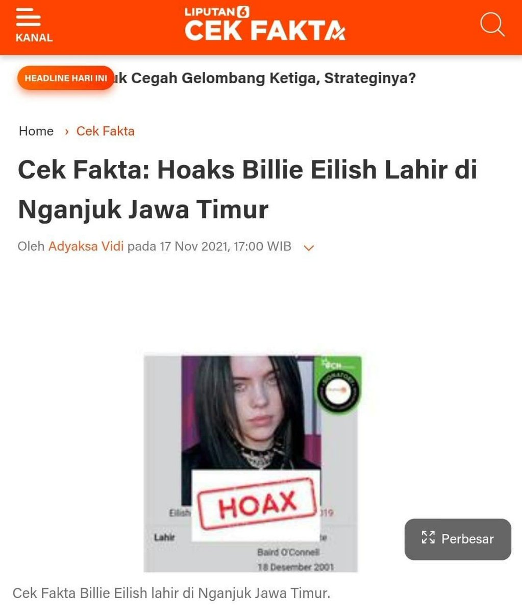 Untung ada artikelnya, kalo gak sampai sekarang gua masih percaya Billie Eilish lahir di Nganjuk.