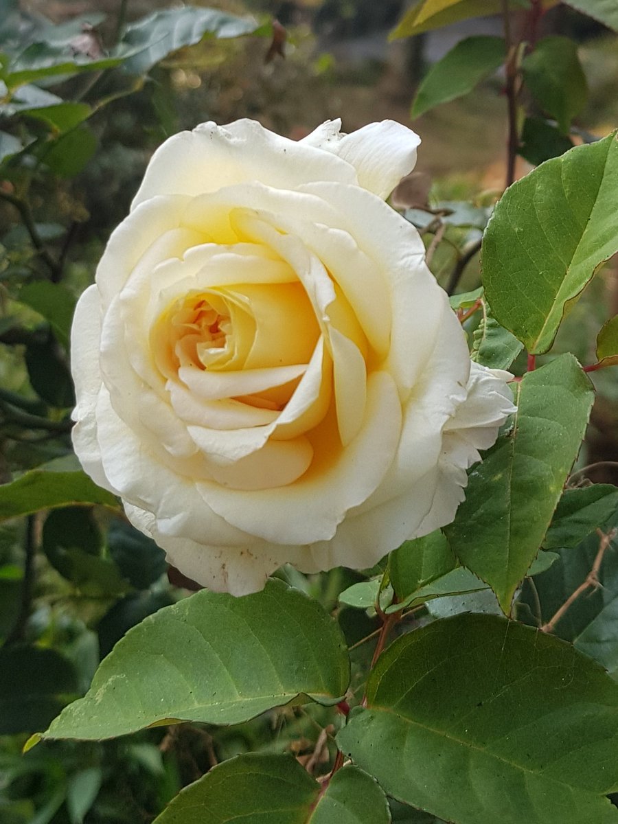 <a href="/Zehov/">Juha Auvinen</a> Happy weekend 😊