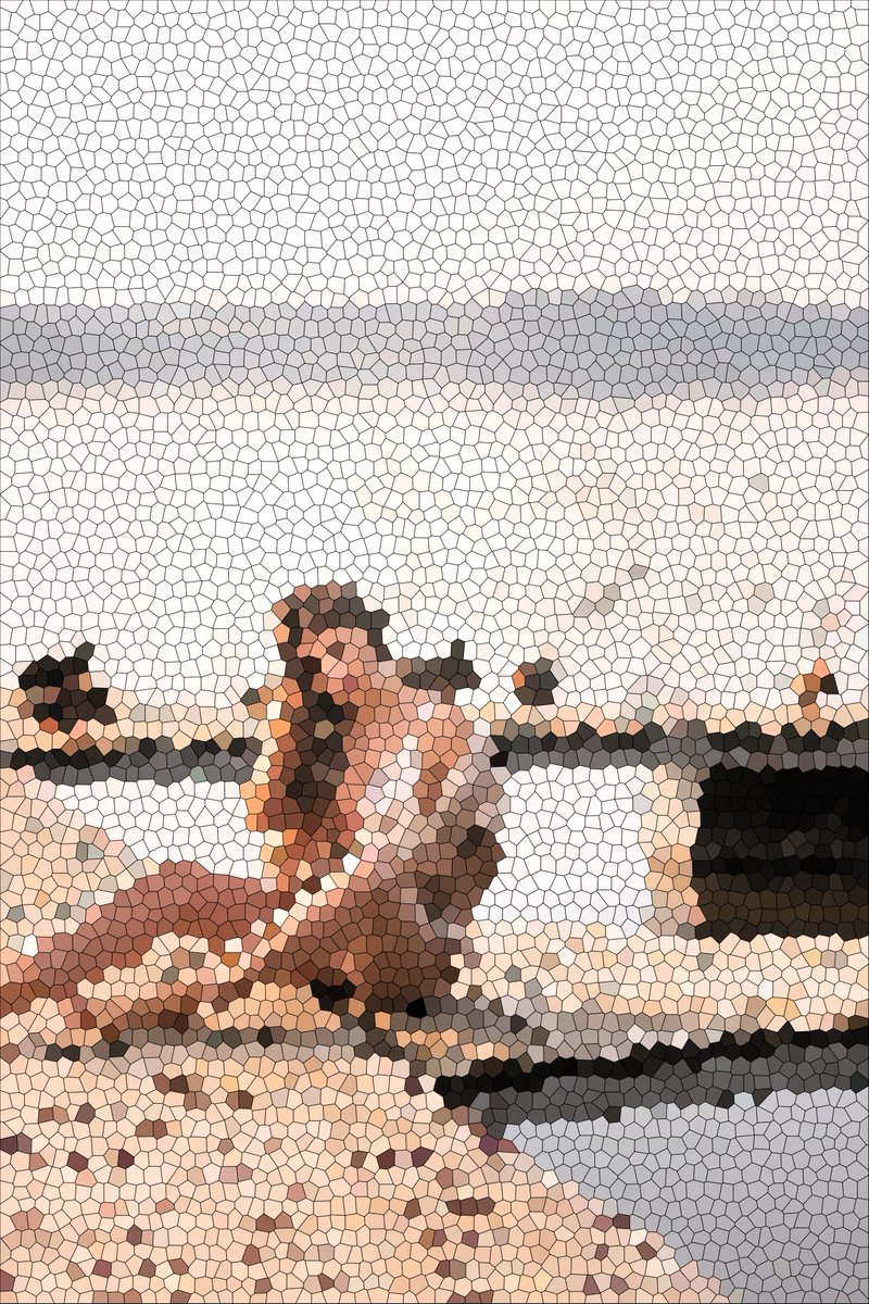 pixelzen tweet media