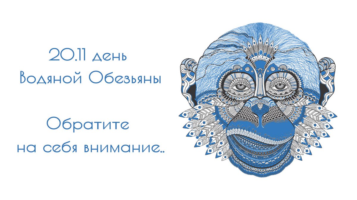 Magic Feng Shui tweet media