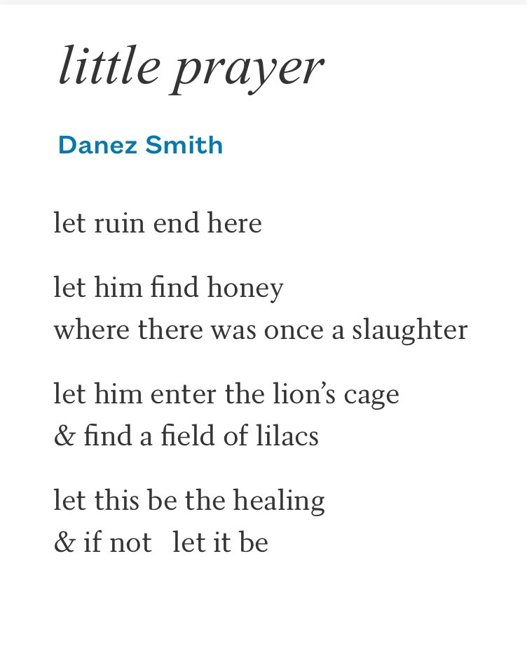 Lori 🌻🌼🌻🌼🌻 tweet media