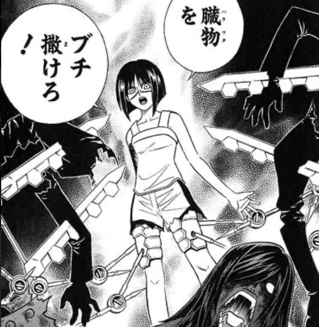 ルガちゃん＠マンドラ鯖 on X: なんか昨日、月食だったらしいけど月と聞くと真っ先にこの2人を思い出すw てか武装錬金ってハガレンと時期被ってたから一部ブチ切れてたなぁ⁉︎こんなカワイイヒロインとナイスライバルいたのにな！  そしてFFによく見るLunaネーム、俺の中 ...