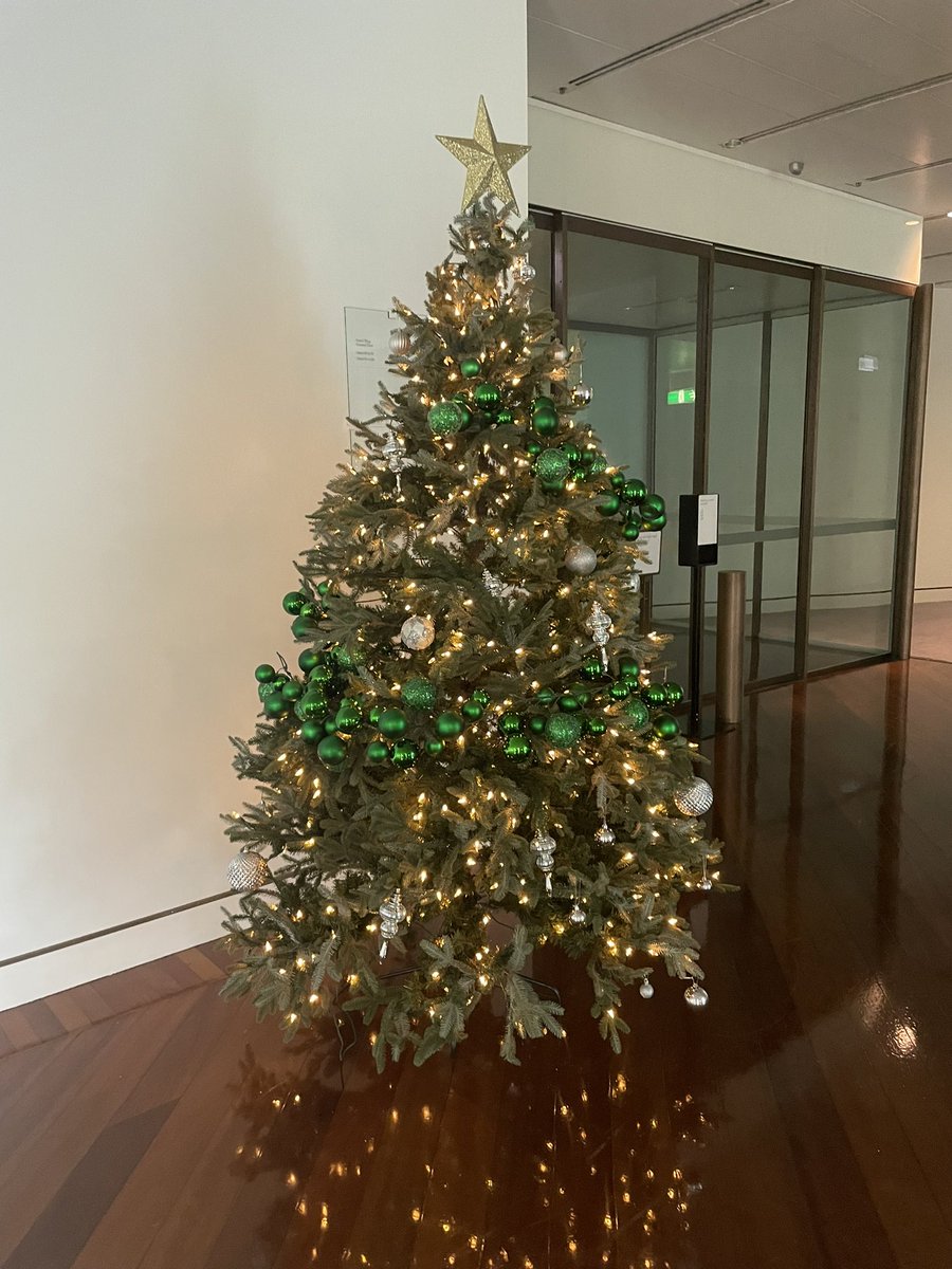michellemoran13's tweet photo. Nothing says last sitting fortnight of the year is about to start like a Christmas tree! https://t.co/1hIm6vZ79K
