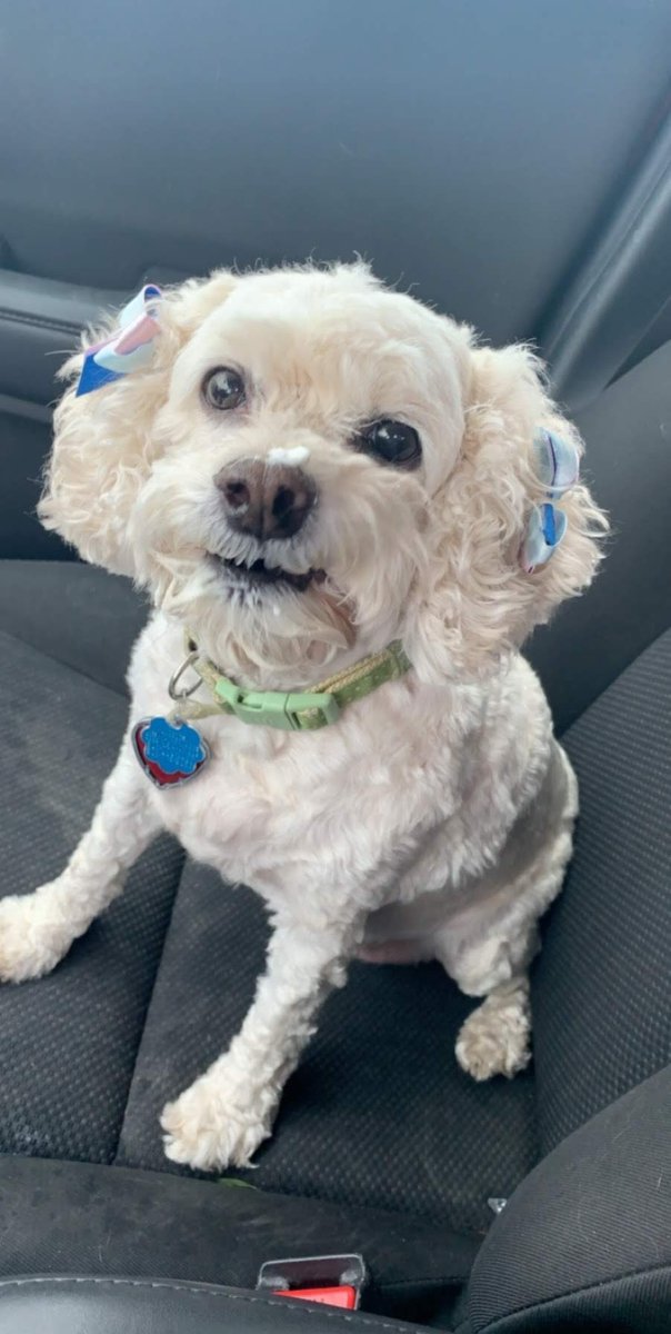 Kimberly Hendrix tweet media