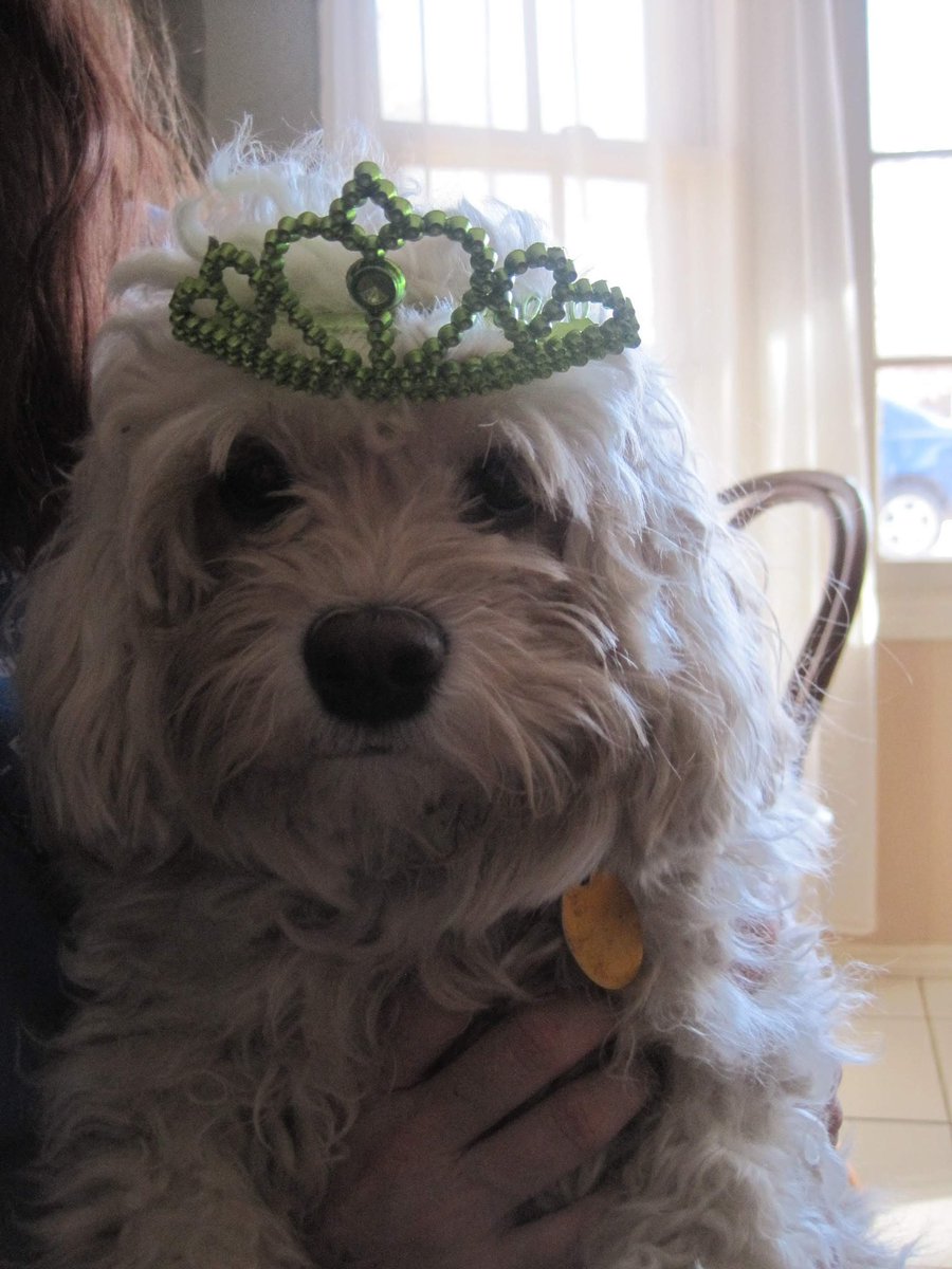 Kimberly Hendrix tweet media