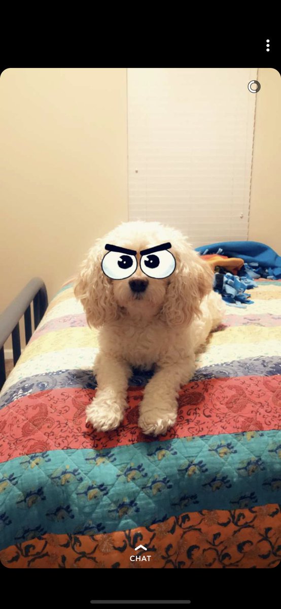 Kimberly Hendrix tweet media