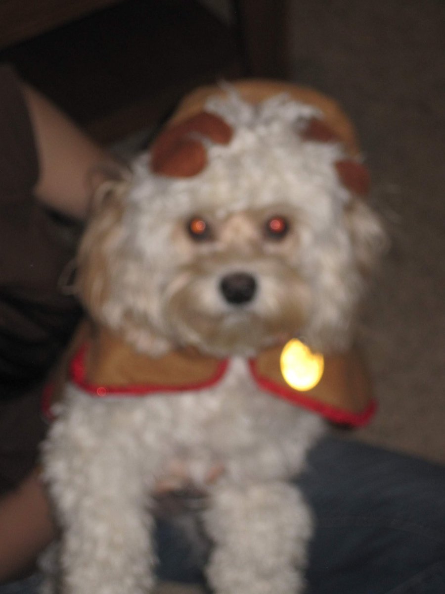 Kimberly Hendrix tweet media