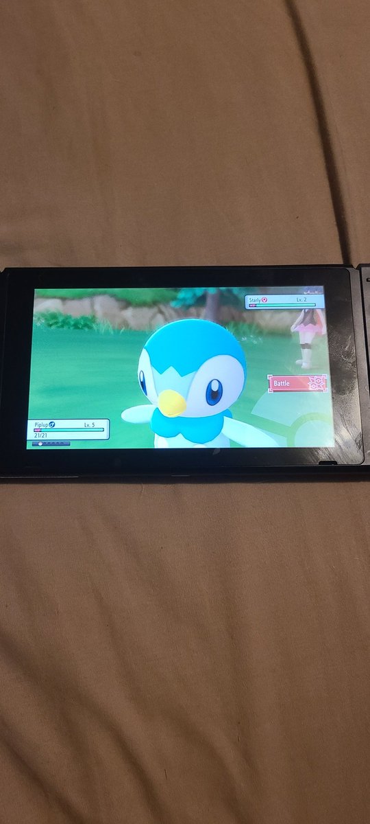 DHFC_Derpz's tweet image. Haven&apos;t tweeted in foreverrr. Anyways...
Earlier today I got myself #PokemonBrilliantDiamond !
I also decided to soft reset for a shiny piplup! I got it within one to two hours! I&apos;m incredibly happy with the luck!