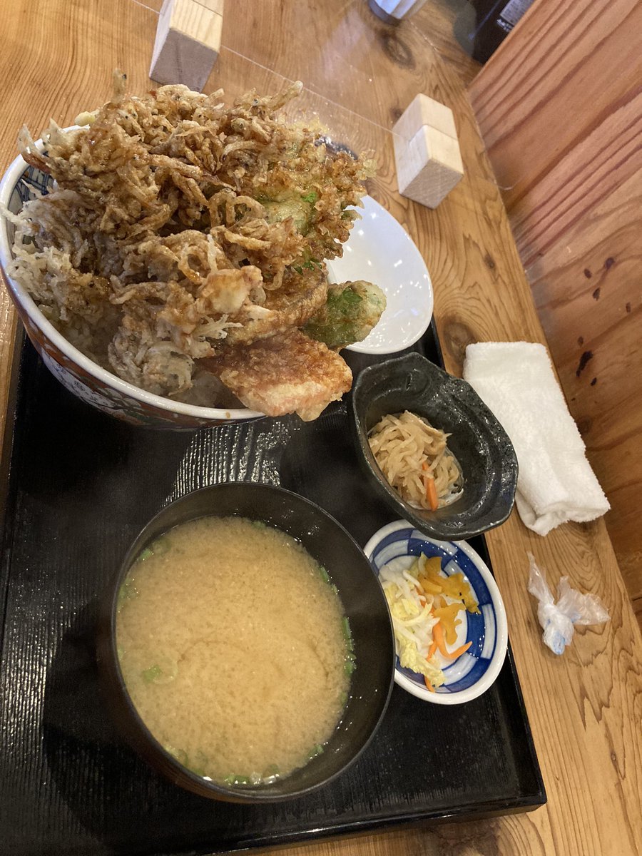 Hansen005's tweet photo. 名前しらすかき揚げを食べてから今日はキャンプ https://t.co/XpF0d8vfll