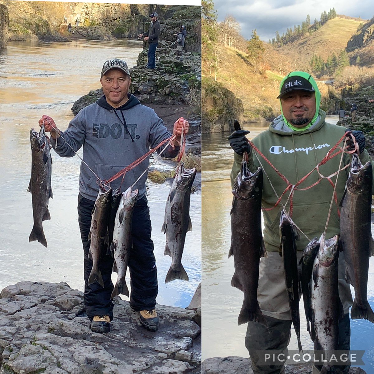 Chawk29's tweet image. Took a minute but we got it done today 🎣🎣🎣#Klickitat#Silvers