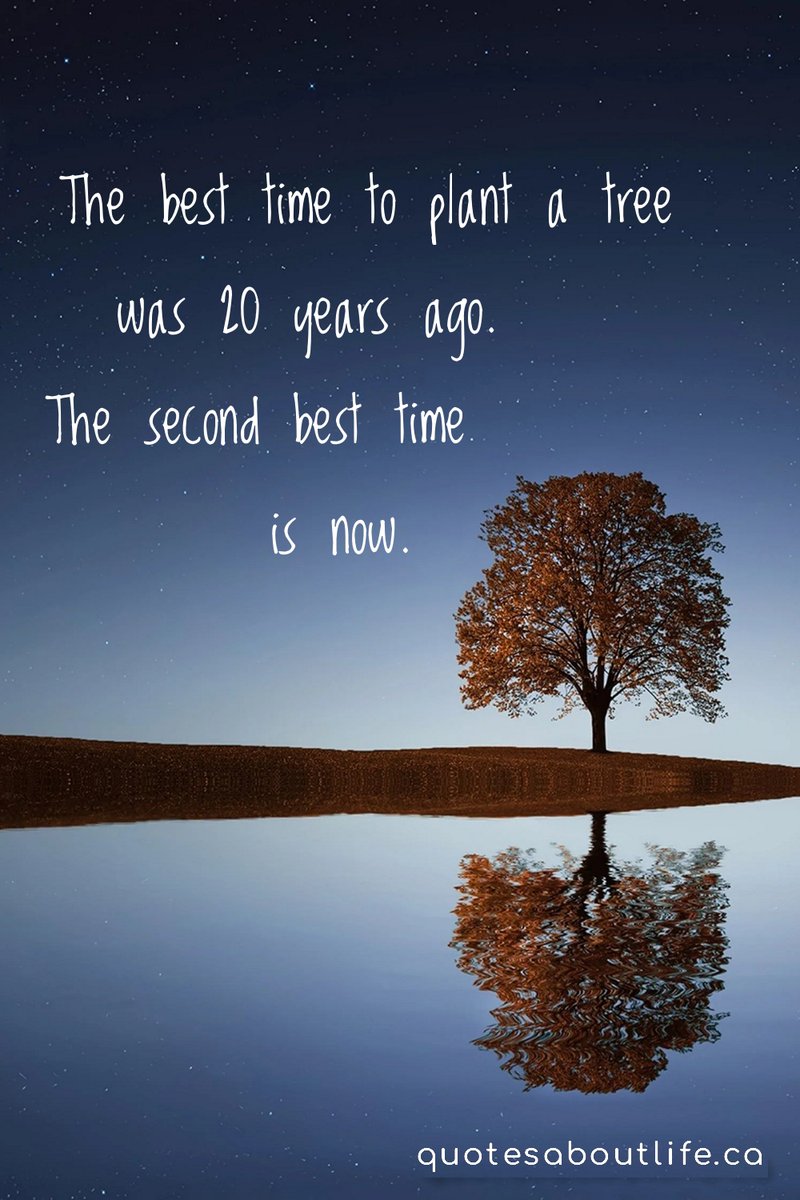 The best time to plant a tree was 20 years ago. The second best time is  now. #MotivationalQuotes #motivationquote #MotivationMonday #quote  #quoteoftheday #quotesaboutlife #Wisdom #successquotes